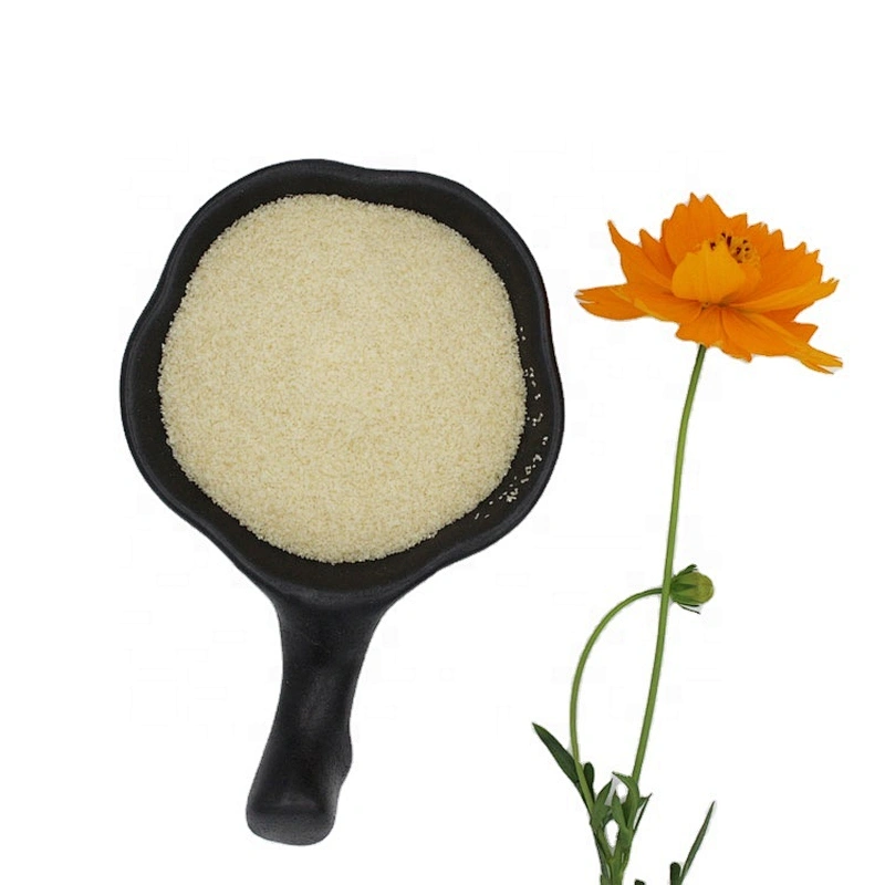 2024 China High quality food additive factory price gelatin gelatin powder